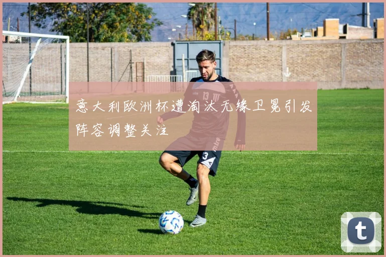 意大利欧洲杯遭淘汰无缘卫冕引发阵容调整关注