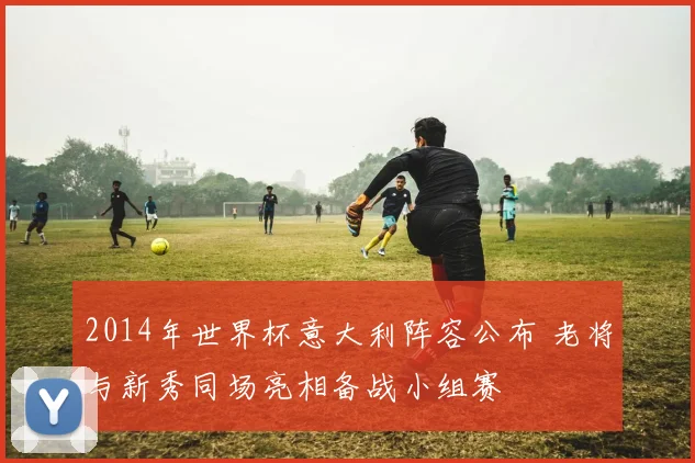 2014年世界杯意大利阵容公布 老将与新秀同场亮相备战小组赛