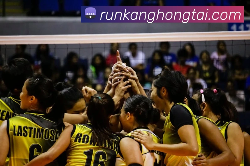 App Interface Preview